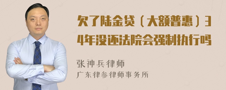 欠了陆金贷（大额普惠）34年没还法院会强制执行吗