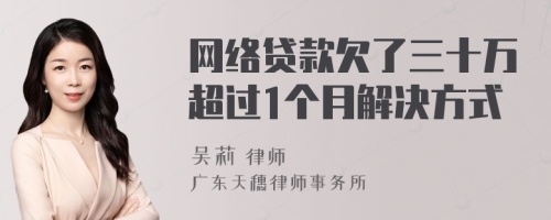 网络贷款欠了三十万超过1个月解决方式