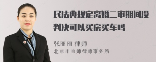 民法典规定离婚二审期间没判决可以买房买车吗