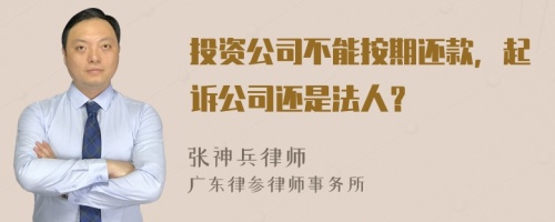 投资公司不能按期还款，起诉公司还是法人？