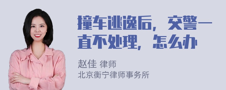 撞车逃逸后，交警一直不处理，怎么办