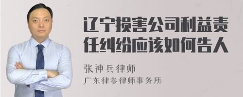 辽宁损害公司利益责任纠纷应该如何告人