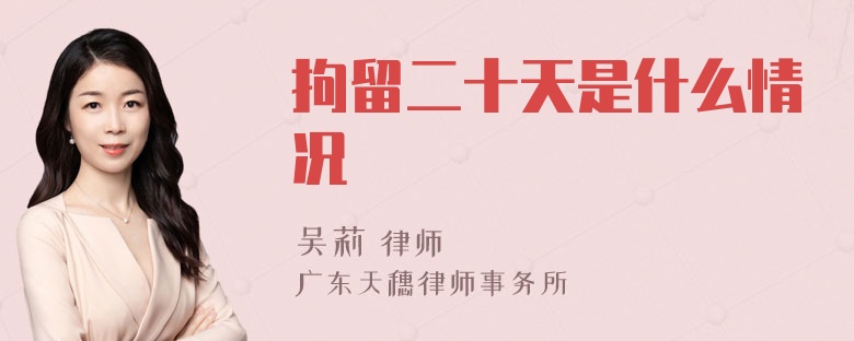 拘留二十天是什么情况