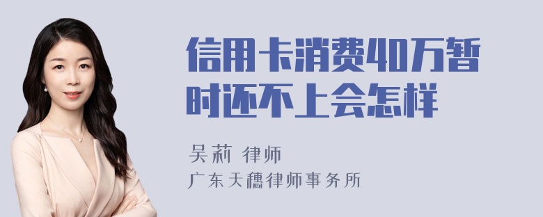 信用卡消费40万暂时还不上会怎样