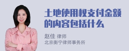 土地使用权支付金额的内容包括什么