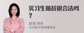 实习生被辞退合法吗？