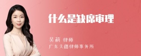 什么是缺席审理