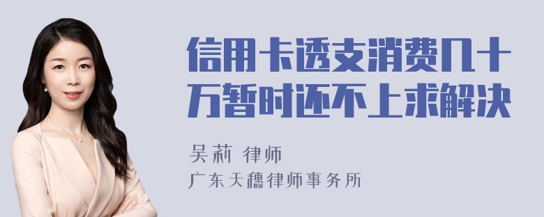 信用卡透支消费几十万暂时还不上求解决