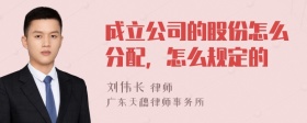 成立公司的股份怎么分配，怎么规定的