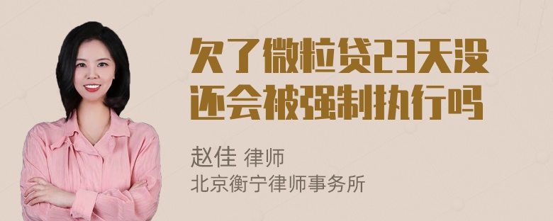 欠了微粒贷23天没还会被强制执行吗