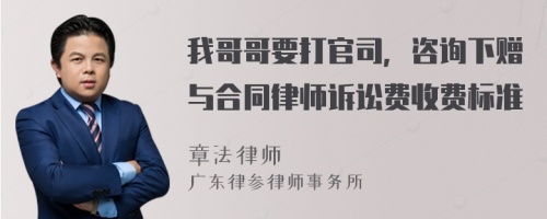 我哥哥要打官司，咨询下赠与合同律师诉讼费收费标准