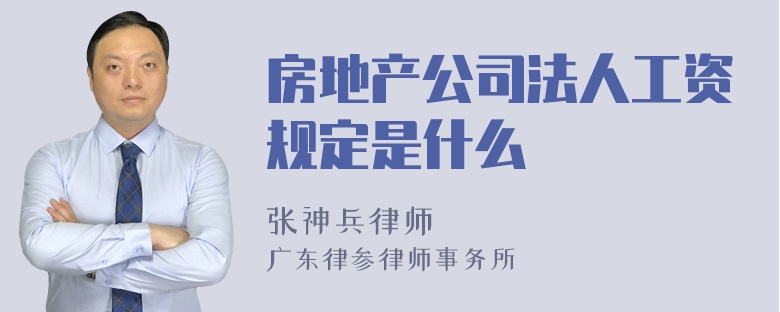 房地产公司法人工资规定是什么