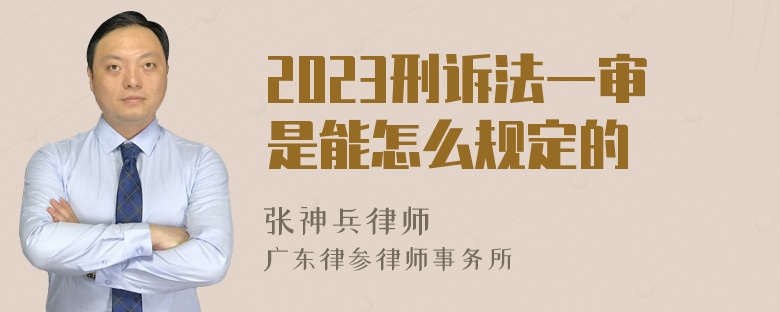 2023刑诉法一审是能怎么规定的