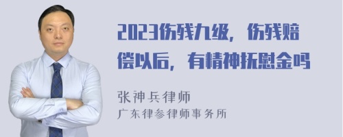 2023伤残九级，伤残赔偿以后，有精神抚慰金吗