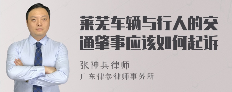 莱芜车辆与行人的交通肇事应该如何起诉