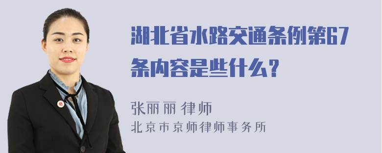 湖北省水路交通条例第67条内容是些什么？