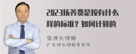 2023抚养费是按有什么样的标准？如何计算的