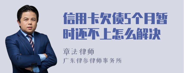 信用卡欠债5个月暂时还不上怎么解决