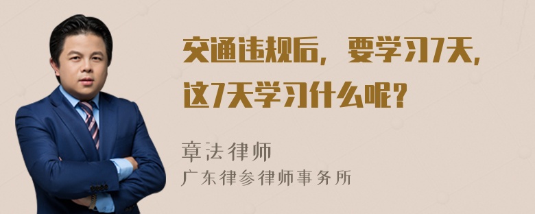 交通违规后，要学习7天，这7天学习什么呢？