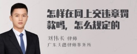 怎样在网上交违章罚款吗，怎么规定的