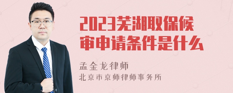 2023芜湖取保候审申请条件是什么