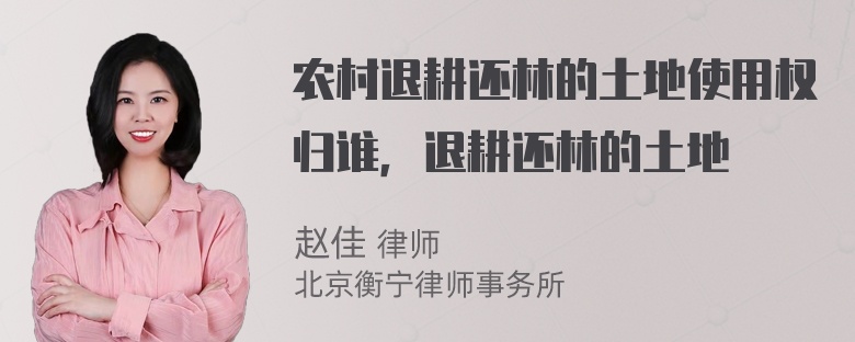 农村退耕还林的土地使用权归谁，退耕还林的土地