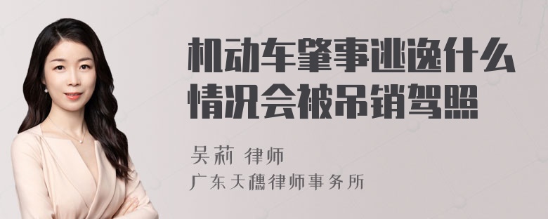 机动车肇事逃逸什么情况会被吊销驾照