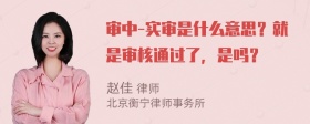 审中-实审是什么意思？就是审核通过了，是吗？