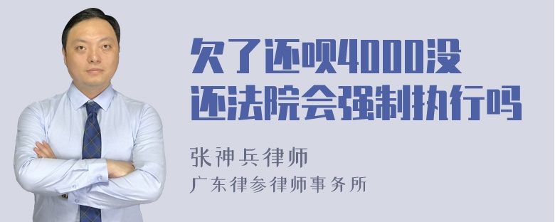 欠了还呗4000没还法院会强制执行吗