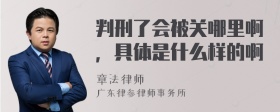 判刑了会被关哪里啊，具体是什么样的啊