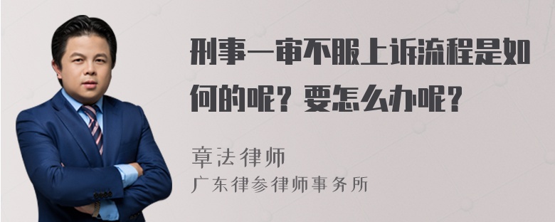 刑事一审不服上诉流程是如何的呢？要怎么办呢？