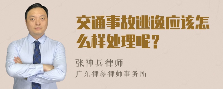 交通事故逃逸应该怎么样处理呢？