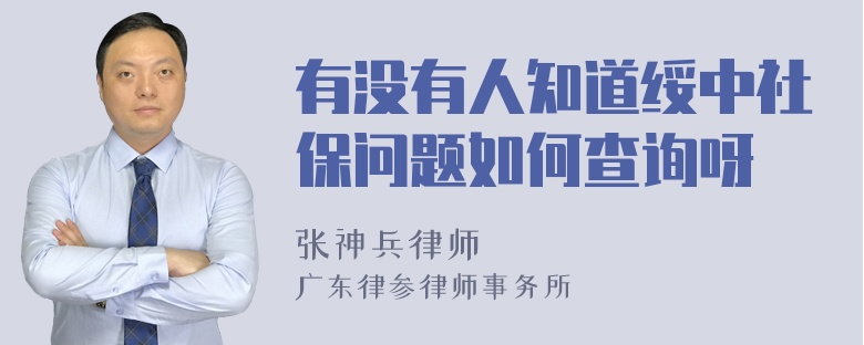 有没有人知道绥中社保问题如何查询呀