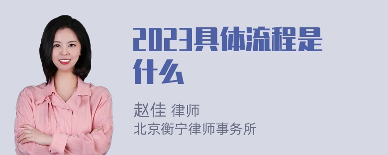 2023具体流程是什么