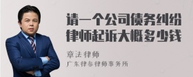 请一个公司债务纠纷律师起诉大概多少钱