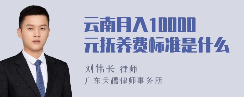 云南月入10000元抚养费标准是什么