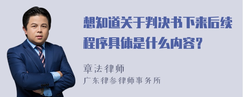 想知道关于判决书下来后续程序具体是什么内容？