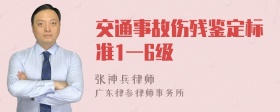 交通事故伤残鉴定标准1一6级