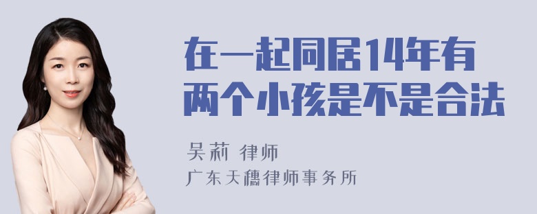 在一起同居14年有两个小孩是不是合法