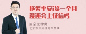 拖欠平安i贷一个月没还会上征信吗