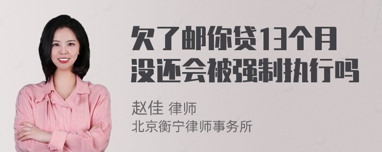 欠了邮你贷13个月没还会被强制执行吗