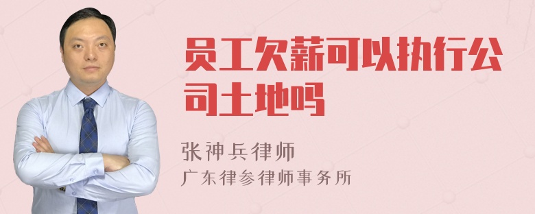 员工欠薪可以执行公司土地吗