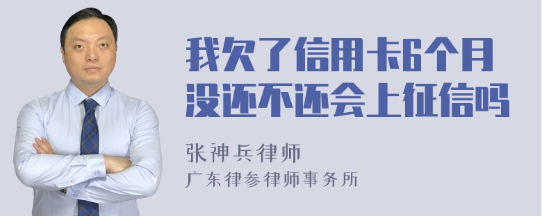 我欠了信用卡6个月没还不还会上征信吗