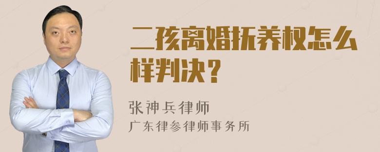 二孩离婚抚养权怎么样判决？