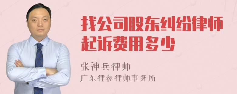 找公司股东纠纷律师起诉费用多少