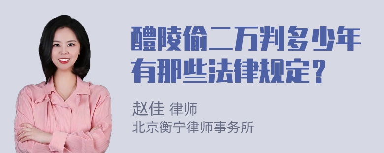 醴陵偷二万判多少年有那些法律规定？