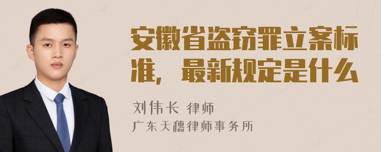 安徽省盗窃罪立案标准，最新规定是什么