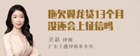 拖欠翼龙贷13个月没还会上征信吗