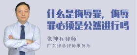 什么是侮辱罪，侮辱罪必须是公然进行吗