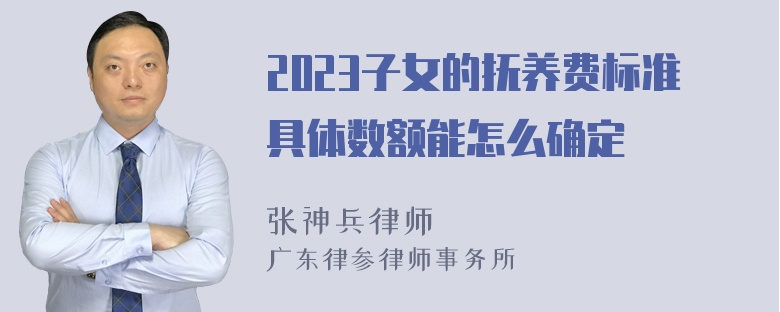 2023子女的抚养费标准具体数额能怎么确定